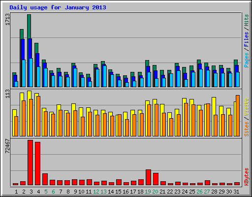 Daily usage for January 2013