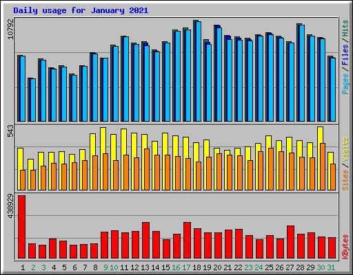 Daily usage for January 2021