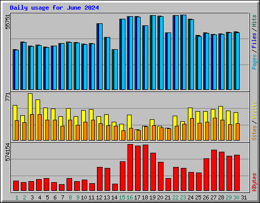 Daily usage for June 2024