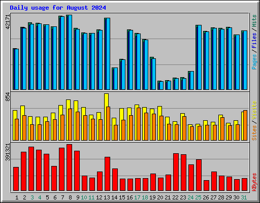 Daily usage for August 2024