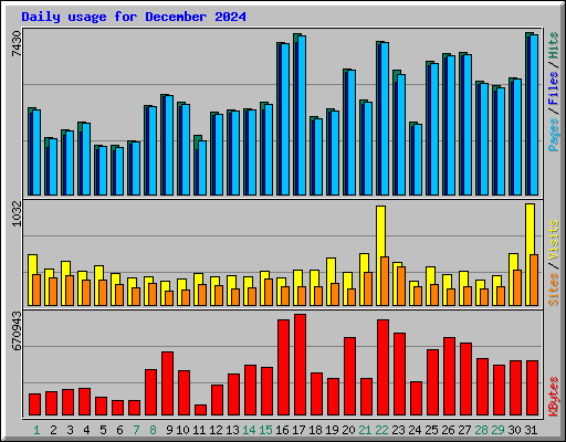 Daily usage for December 2024