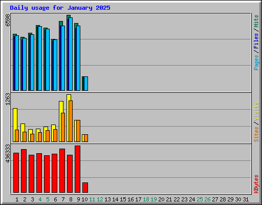 Daily usage for January 2025