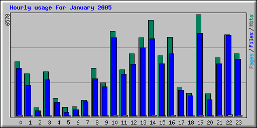 Hourly usage for January 2005