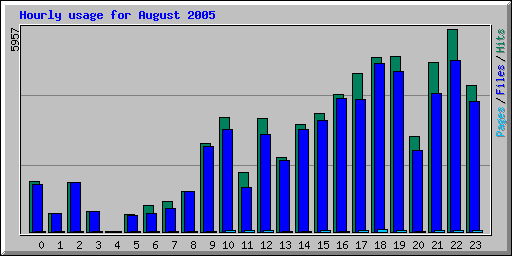 Hourly usage for August 2005