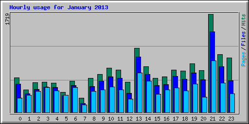 Hourly usage for January 2013