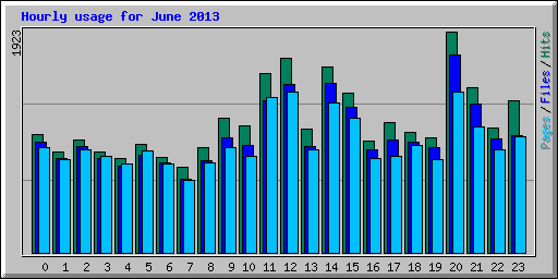 Hourly usage for June 2013