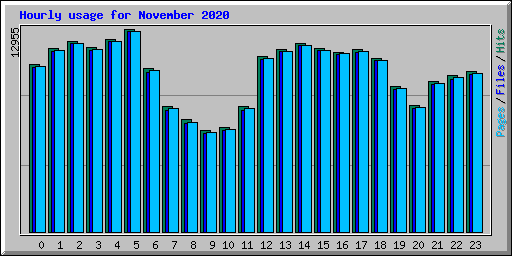 Hourly usage for November 2020