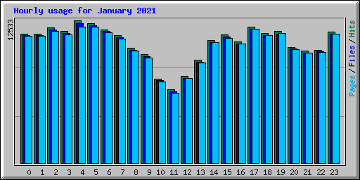 Hourly usage for January 2021