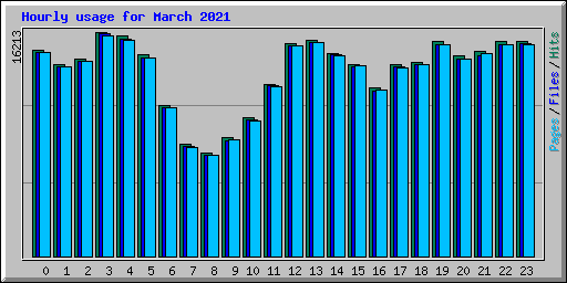 Hourly usage for March 2021