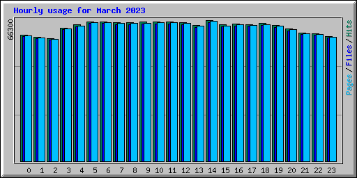 Hourly usage for March 2023