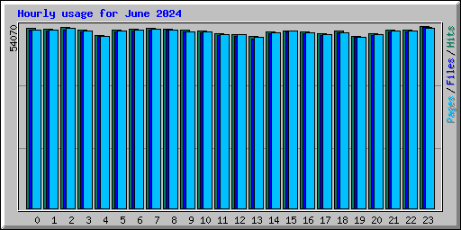 Hourly usage for June 2024