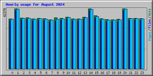 Hourly usage for August 2024