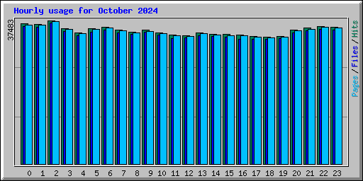 Hourly usage for October 2024