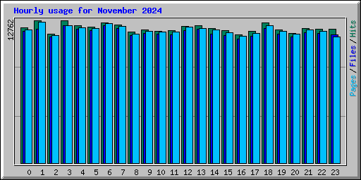 Hourly usage for November 2024