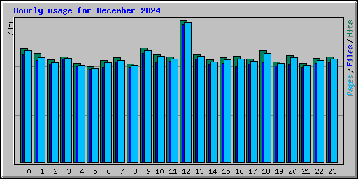 Hourly usage for December 2024