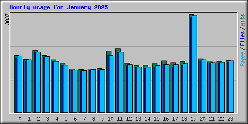 Hourly usage for January 2025