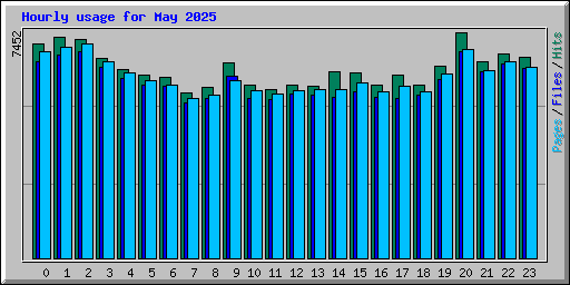 Hourly usage for May 2025