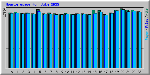 Hourly usage for July 2025