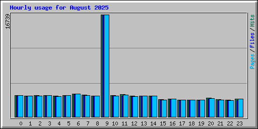 Hourly usage for August 2025