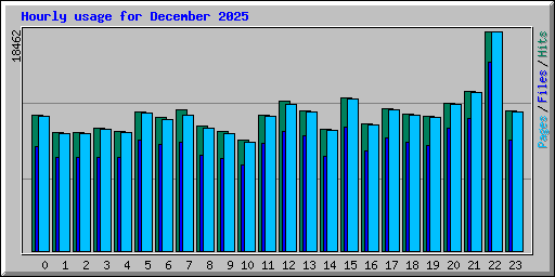 Hourly usage for December 2025