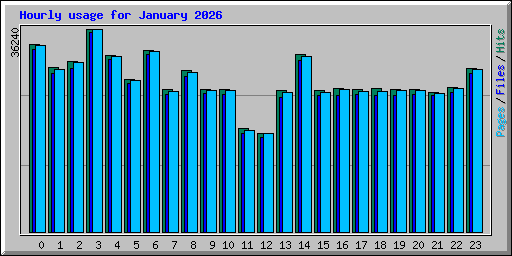 Hourly usage for January 2026